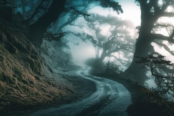 Aufkleber - A winding road disappears into a mysterious, fog-laden forest of ancient, moss-covered trees.