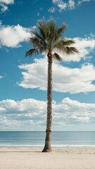 Aufkleber - Slow motion video showcasing a solitary palm tree on a pristine sandy beach, set against a backdrop of clear blue sky and gentle waves, creating a serene and idyllic tropical scene