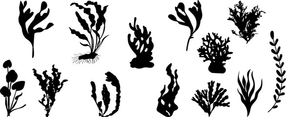 Wall Mural - seaweed silhouette on white background vector