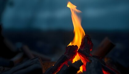 Wall Mural - a close up of a fire with a blurry background