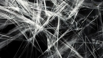 Poster - Dynamic abstract light trails weaving through dark space