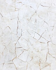 Poster - A close-up of cracked white textured surface showcases intricate patterns and natural artistry, perfect for backgrounds or design projects.