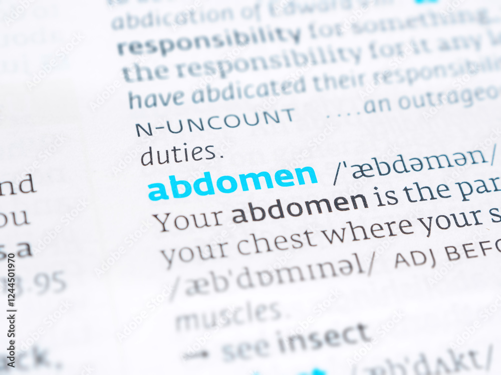 Definition Of abdomen Explained Medical Anatomical Dictionary Definition of abdomen explained medical anatomical dictionary