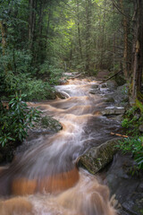 Wall Mural - USA, West Virginia, Blackwater Falls State Park. Rapids on Blackwater River.