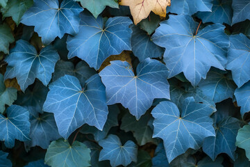 Blue Plant Leaves in Nature During Fall Season