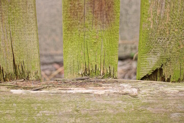 wooden texture from old gray green boards in the wall of the fence on a rural street