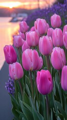 Wall Mural - Pink Tulips Dew Drops Sunset Water