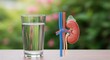 © IbragimovN - National kidney month awareness with healthy hydration focus