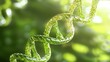 © Grappy Media - Green DNA strand in natural sunlight environment.