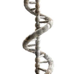 Poster - detailed 3d representation of dna double helix structure, showcasing its twisted form and distinct b