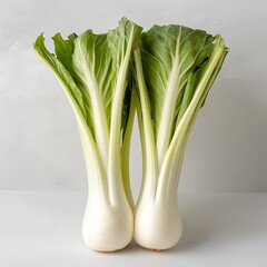 Canvas Print - White Bok Choy Harvest, Kitchen Table