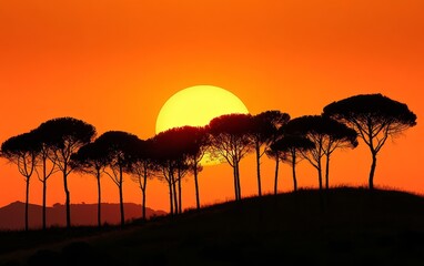 Wall Mural - Silhouetted trees against vibrant orange sunset landscape