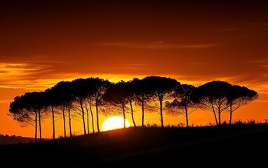 Wall Mural - Silhouetted trees against a vibrant orange sunset sky landscape