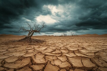 Wall Mural - Desolate desert landscape, cracked earth, dead tree, stormy sky, climate change