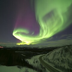 portrait of the aurora at night