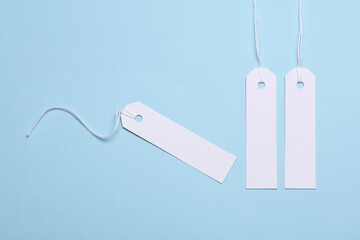 Wall Mural - White paper tags on strings on a blue background