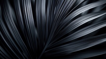 Poster - Close-Up of Elegant Black Leaves Showcasing Unique Textures and Patterns, Ideal for Nature and Abstract Aesthetic Designs