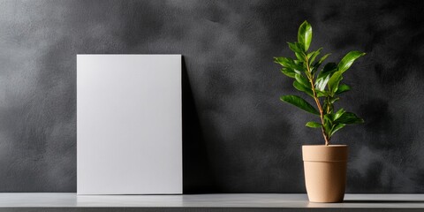 Poster - Minimalist Aesthetic Blank Canvas on Textured Charcoal Surface with Potted Plant - Visual Content for Eco-Friendly Business Branding and Office Decor