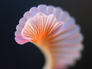 Aufkleber - Biophilic Design Concept Macro Botanical Structure in Spiraling Detail for Eco-Conscious Decor and Sustainable Design Inspiration in Modern Architecture and Interior Aesthetics