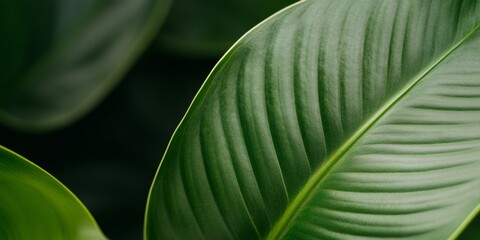 Aufkleber - Tropical Biophilic Design Camouflaged Frog in Lush Foliage Eco-informed Wildlife Content for Sustainability Education and Eco-conscious Marketing Campaigns