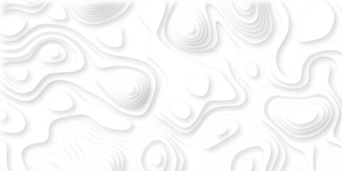 Poster - paper cut 3d render topography abstract, beautiful white background. geometric map relief texture wi