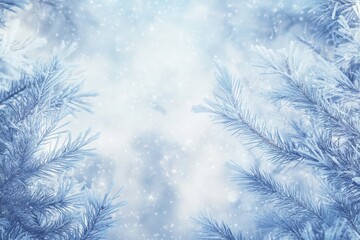 Wall Mural - Winter Blurred Background with Frosted Pine Branches