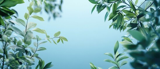 Sticker - Tranquil greenery framed against a soft blue sky creates a serene atmosphere with lush leaves at the borders and a smooth gradient backdrop.