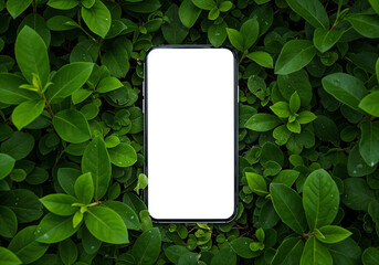 Poster - eco style mobile phone mockup with leaves, eco concept . Generative AI