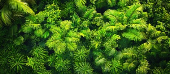 Poster - Vibrant dense green foliage fills the image with lush tropical plants providing a rich HDR background ideal for creative projects.