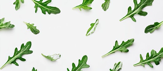 Poster - Fresh arugula leaves scattered on a white background showcasing vibrant green colors with varying shades highlighting freshness and vitality.