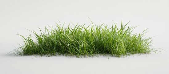 Aufkleber - Vibrant green grass texture on a clean white background featuring lush grass blades scattered and positioned centrally for a fresh natural feel
