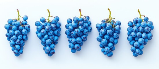 Poster - Vibrant blue grapes in a neat horizontal arrangement on a white background showcasing texture and color depth in a visually appealing manner
