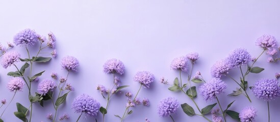Poster - Lavender flowers scattered diagonally across a soft lilac background with green leaves enhancing the peaceful floral arrangement composition.