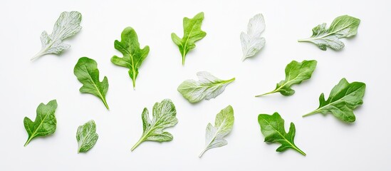 Poster - Fresh arugula leaves scattered on a white background showcasing vibrant green and pale green colors highlighting their freshness and delicacy