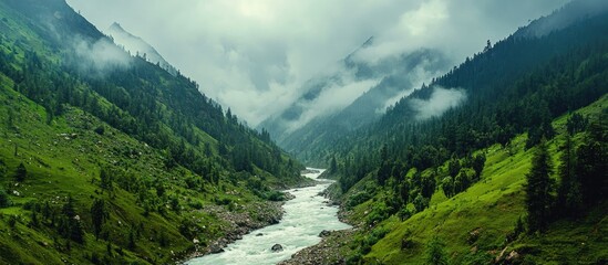 Aufkleber - Lush green forest surrounds a serene mountain river flowing through vibrant valleys under a cloudy sky with misty mountains in the background