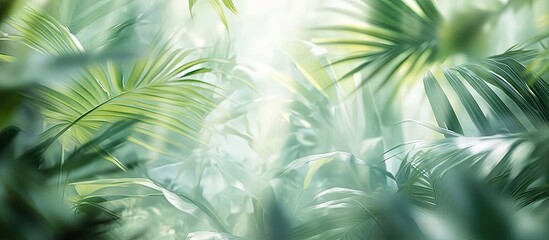 Poster - Serene light green abstract background with blurred tropical foliage and soft light creating a tranquil atmosphere in lush greenery.