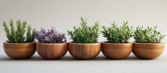 Poster - Variety of fresh herbs in wooden bowls including rosemary and lavender arranged in a linear formation with a soft neutral background.