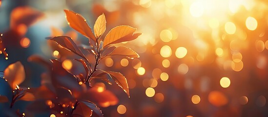 Aufkleber - Autumn leaves in warm orange and golden hues softly illuminated by sunlight creating a dreamy bokeh effect in the background