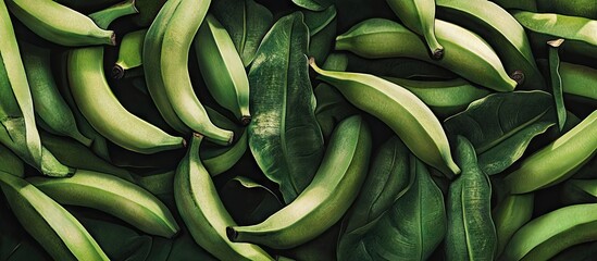 Poster - Vibrant arrangement of green bananas and leaves captured from above showcasing rich textures and color variations with a dark background