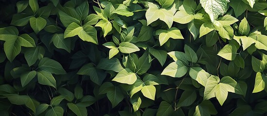 Aufkleber - Lush green foliage background with vibrant leaves creating a natural setting for a rustic bag of flour and various baking grains positioned centrally.