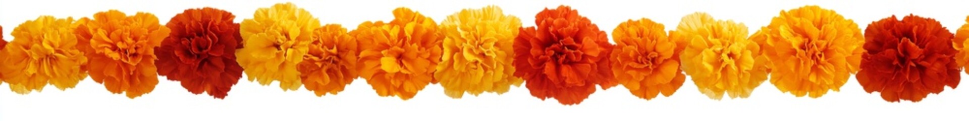 Wall Mural - Orange flower garland isolated, white background, festive decor