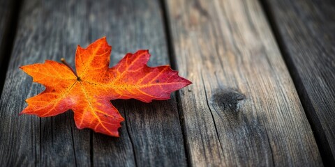 Sticker - Vibrant orange autumn leaf resting on rustic brown wooden table creating a warm seasonal aesthetic with rich textures and natural colors