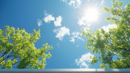 Poster - Sunny sky view from below, green trees, summer