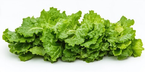 Poster - Fresh green cos lettuce arranged in a neat row against a white background showcasing vibrant leafy textures and rich green hues.