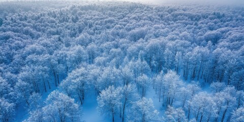Aufkleber - Aerial view of a tranquil snow-covered forest with frosted trees in varying shades of white and blue, creating a serene winter landscape