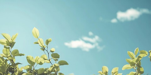 Poster - Vibrant blue sky with soft white clouds above bright green leaves softly blurred in the foreground creating a tranquil summer vibe