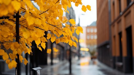 Wall Mural - Autumn leaves against urban street with selective focus. Perfect for seasonal city lifestyle, urban environment, and autumn mood concepts