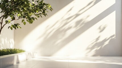 Aufkleber - Serene Indoor Space with Illuminated Architectural Features and Natural Shadows Ideal for Text Overlay or Branding