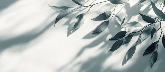 Aufkleber - Abstract leaves casting natural shadows on a white textured background ideal for product presentation and creative overlay designs.