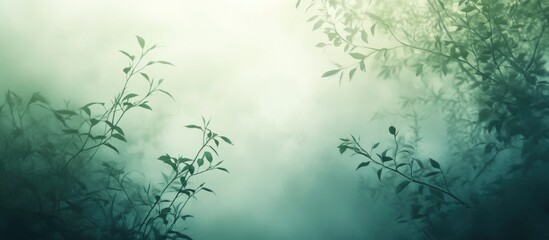 Aufkleber - Serene abstract green nature background with blurred gradient and soft foliage for calming visuals and tranquility themes